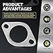 Ferianl 2PCS Exhaust Flange Gasket, 2Inch 2 Bolt Gasket, Replaces OEM#120-06310-0002, Muffler Gasket with Bolt & Nut, Car Accessories for Car Truck