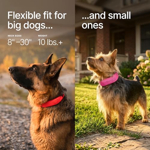 Halo Collar 5 Wireless Dog Fence & GPS Dog Collar, Keep Your Dog Safely Contained Outdoors with App-Controlled Boundaries and Real-Time Tracking, One Size, Blaze - Image 3