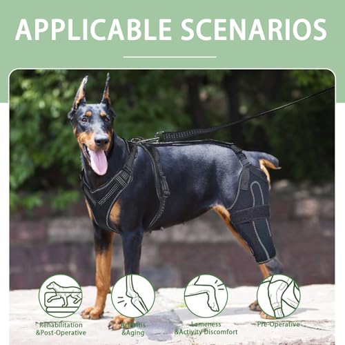 Image of Dog Acl Knee Brace for Torn Acl Leg, Dog Knee Pads for Back Legs Warm Joints and Relieve Joint Pain, Acl Brace for Dogs Rear Leg (XL)