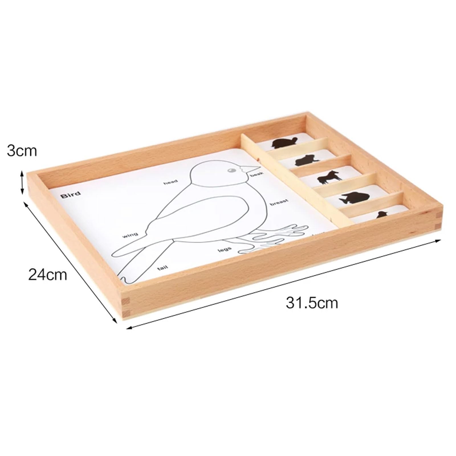 Carte Montessori a 3 Parti con Vassoio di Legno per Ordinamento | Carte Nomenclatura Animali e Piante, Materiale Linguistico Biologia, Giocattolo Educativo Classificazione Scientifica