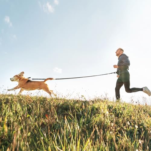 Yangbaga Dog Leash Extender, Shock Absorber Bungee Leash Attachment, Durable Nylon Dog Tie Out Extension with Stainless Steel Swivel Clips - Thumbnail 6