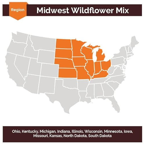 Midwest Wildflower Seed Mix - 1/4 Pound - Mixed Wildflower Seeds, Attracts Bees, Attracts Butterflies, Attracts Hummingbirds, Attracts Pollinators, Easy To Grow & Maintain, Cut Flower Garden #TOP1