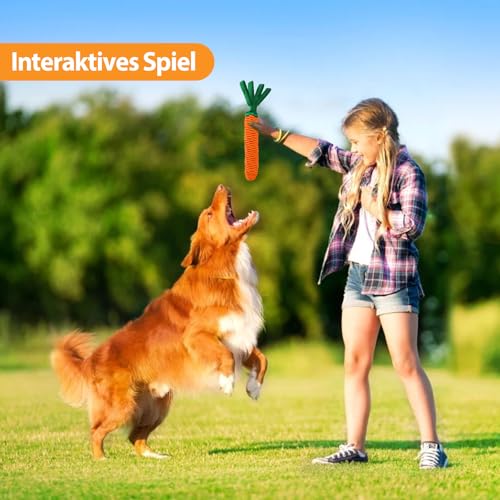 LIFLIX Hundeseilspielzeug Seil Karotte, Zerrspielzeug für Hunde, Hundespielzeug Geflochten mit Knitterpapier Anhängern, Möhre