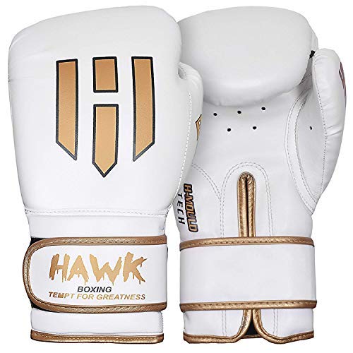 17 Best Boxing Gloves for Heavy Bag Training Reviewed 2023