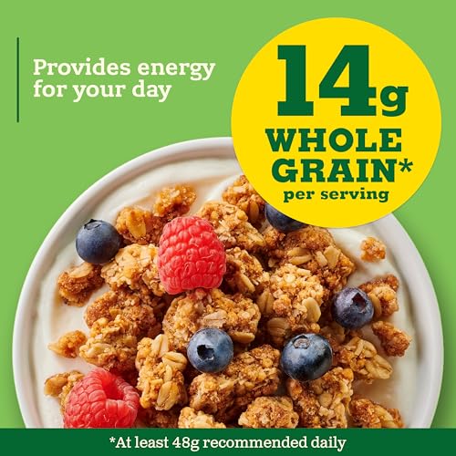 Image of Nature Valley Oats & Honey Big & Crunchy Granola Breakfast Cereal, 16 oz