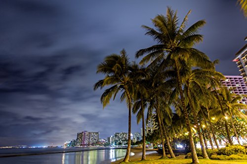 Palm trees in front of hotels with lights reflecting off the water at night at Kuhio Beach (aka"Walls") in Waikiki, Oahu, Hawaii print picture photo photograph fine art