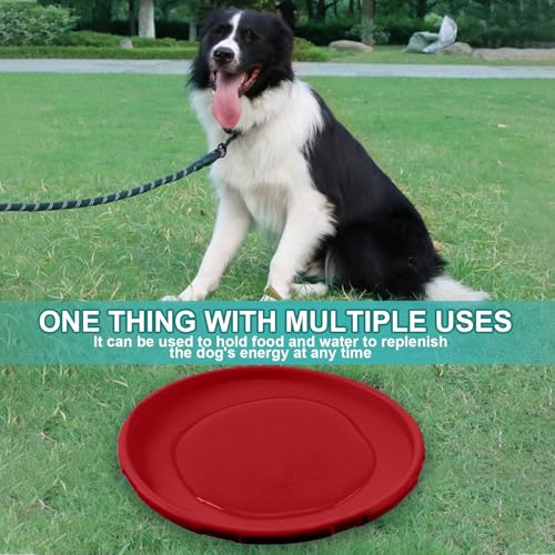Noaxylic 2 Stück Hundefrisbees, Haustier Spielzeug Hund Fliegen Scheiben, Wiederverwendbar Soft Trainings Discs Hund, Haustier-Frisbee, Leichtes Flying Disc Dog für Dog Werfen, Spielen und Fangen