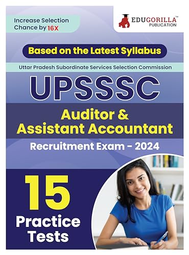 Assistant Accountant/Auditor