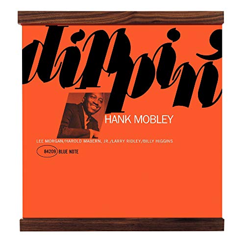 Hudson Hi-Fi Modular Vinyl Record Wall Mount Display System - Natural Walnut Wood Record Shelf Magnetic Vinyl Holder Wall Record Display Albums - Wall Mount LP Record Holder Single Pack