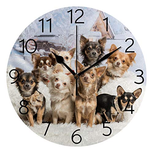 My Daily Cute Chihuahuas Dog Wall Clock 9.8 Inch Silent Non Ticking Battery Operated Decorative Round Wall Clocks for Kitchen Bedroom Living Room