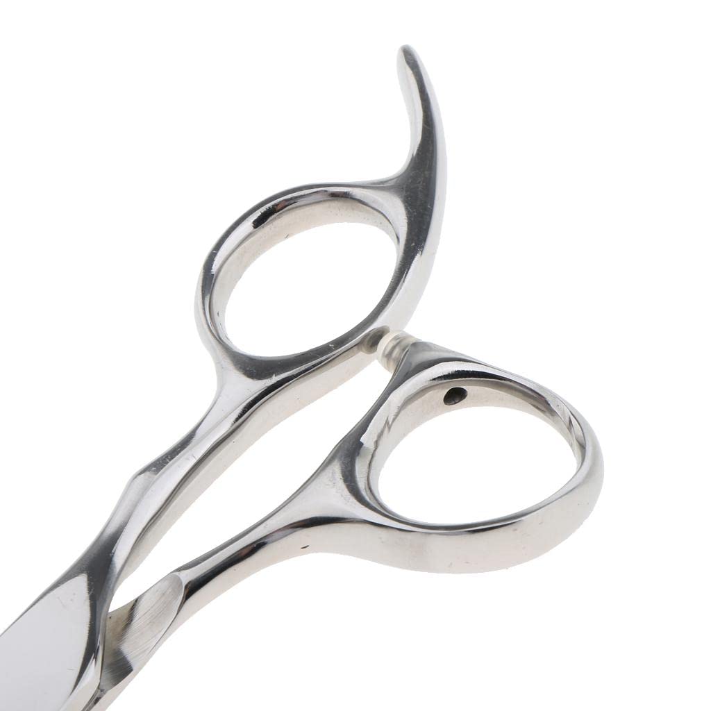 B Baosity Premium Hairdressing Scissors for Salon Professionals, as described, Silver