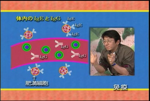 品質が Dr.岡田のアレルギー疾患大原則 1〜3巻 その他 - www