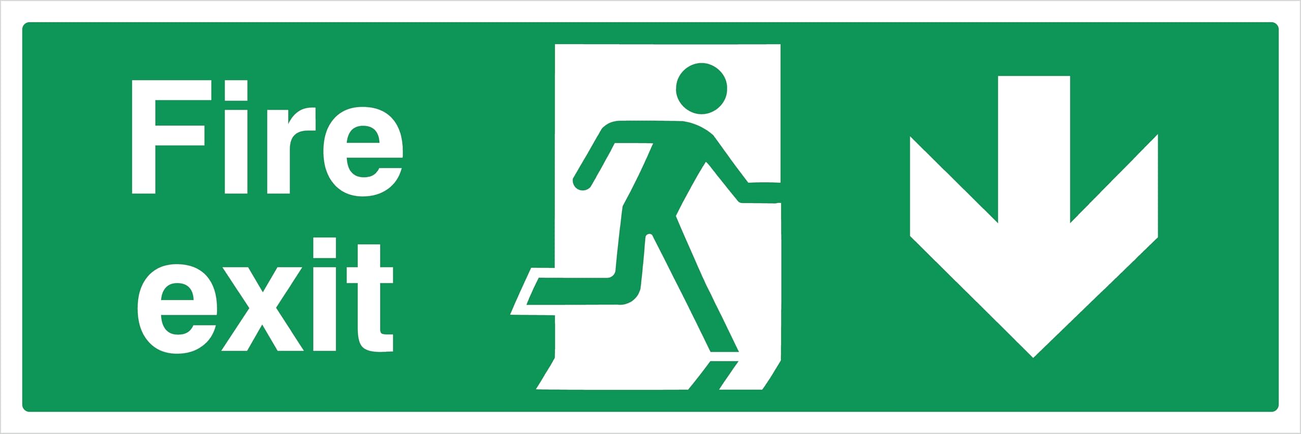 FIRE EXIT - DOWN -300x100- DOUBLE SIDED RIGID PVC, White