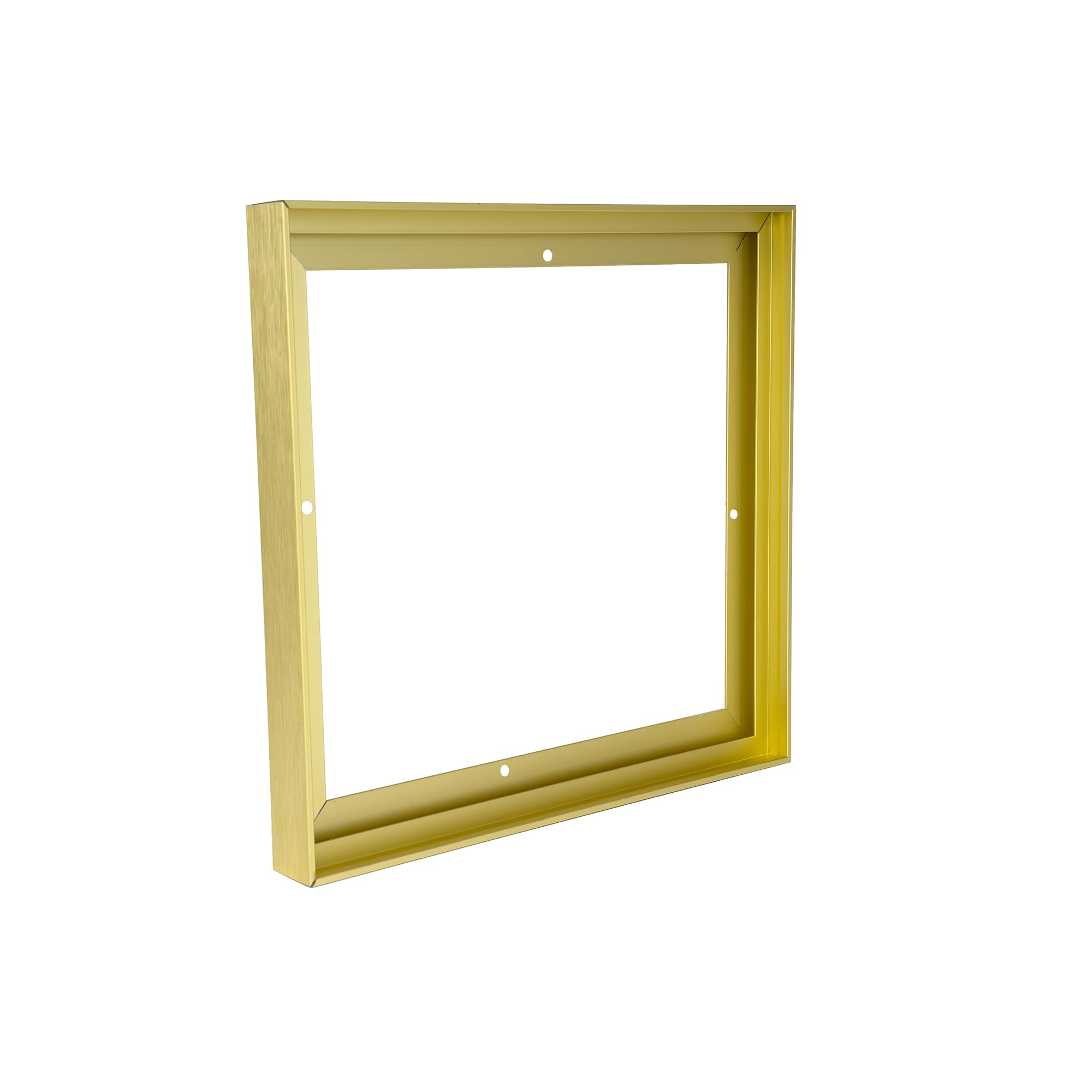 Metal Canvas Floater Frames For 20x20 Canvas Paintings,DIY Metal Canvas Frame with 0.75"-0.9" Deep,Canvas Floating Frame,Floater Frame for Canvas, Floater Frames for Canvas (20"x20", Light