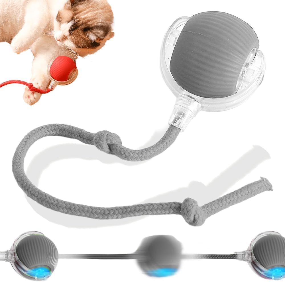 Interactive Rolling Dog Ball 2024 New Self Dog Toys Interactive Cat Toys Automatic Cat Toy Self Moving Dog