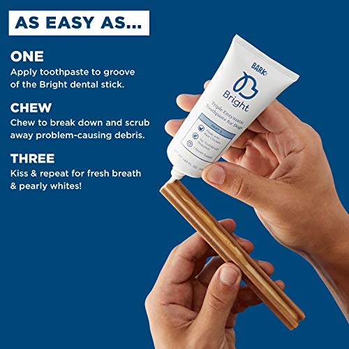 bark dentist toothbrush