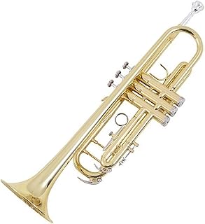 Student Brass Trumpet Trumpet Musical Instrument B-flat Three-tone Brass Music For Beginners To Play Golden