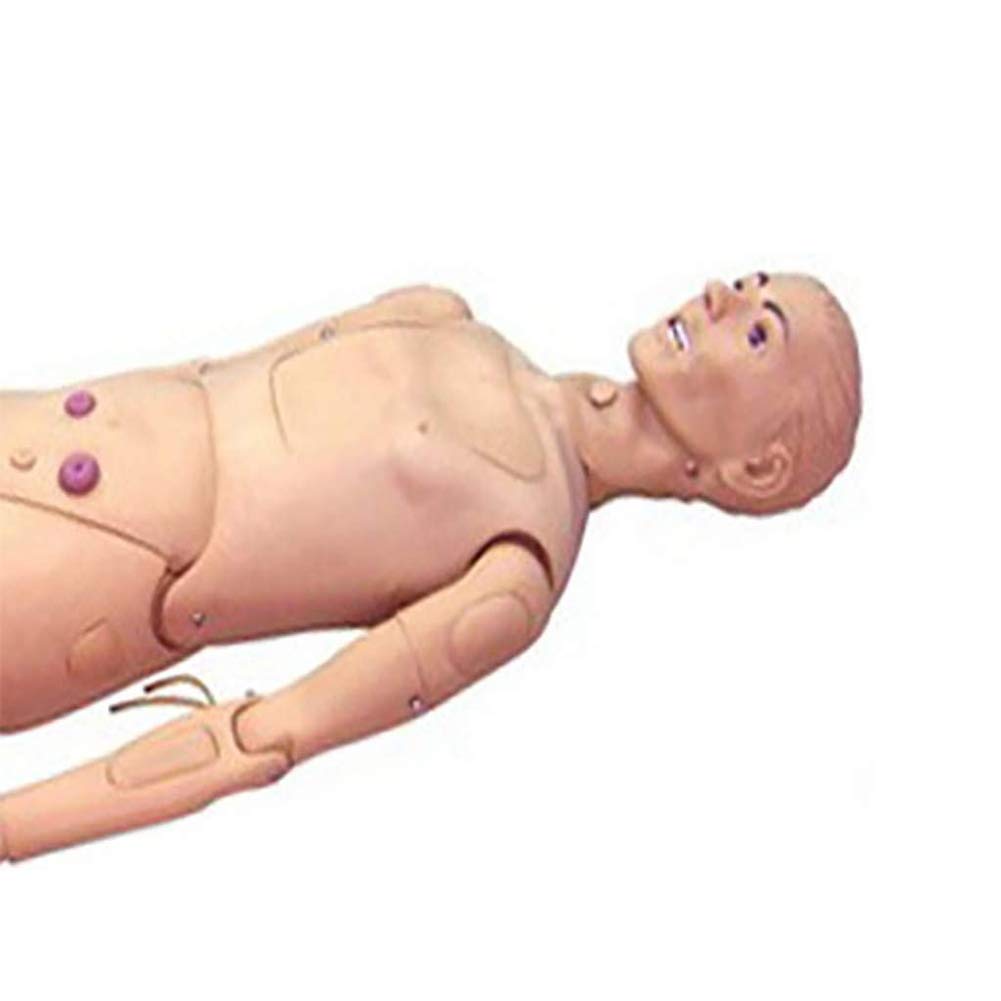 DDT Krankenpflege Pflegepuppe Multifunktional Patientenversorgungssimulator 170CM Nursing Medical Ausbildung Lehre Bildung Medizinische Versorgung Altenpflege