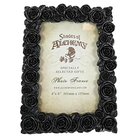 Ebros Gift Gothic Black Roses Photo Frame Cover