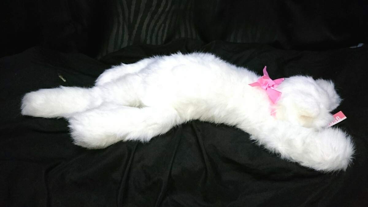 Amazon.co.jp: 激レア タグ付 70cm 猫 ねこ ネコ オオイケ ペルシャ猫 