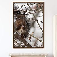 Framed Canvas Wall Art Squirrel Animals Fun Living Room Multicolor Photography Rustic Squirrel - 16x24 inches