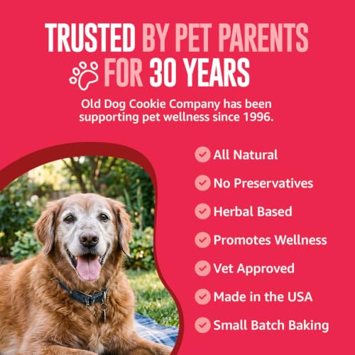 Image of Old Dog Cookie Company Hip and Joint Support Tiny Treats | All Natural Arthritis Relief, 4 Calorie | Joint Support for Every Stage of Life | Small, Medium & Large Breeds | 8 oz
