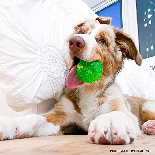 Hyper Pet Durasqueak Dog Ball Dog Toys (Interactive Dog Toys That Float & Squeak) Squeaky Dog Toys & Dog Balls For Playing, Fetching & Retrieving - Great Alternative To Traditional Dog Tennis Balls #TOP3