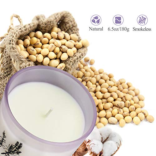 image for TOFU Scented Candle Set 3 Pieces, Candle for Woman 6.4 Ounces 30 Hours