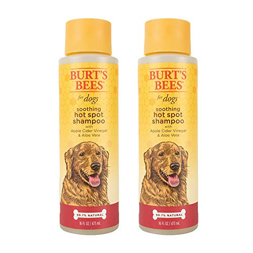 Burt's Bees Hot Spot Spray Is The Best Way To Soothe Your Skin