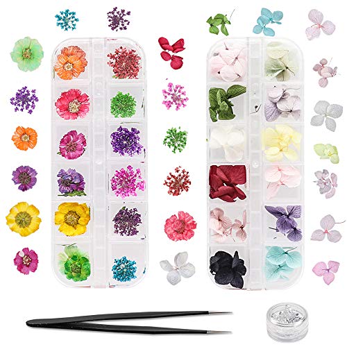 CCUCKY Fleurs Séchées à Ongles Naturelles, 2 Boîtes de Vraies Fleurs à Ongles pour DIY Faire de l'Artisanat, Arts des Ongles Cover