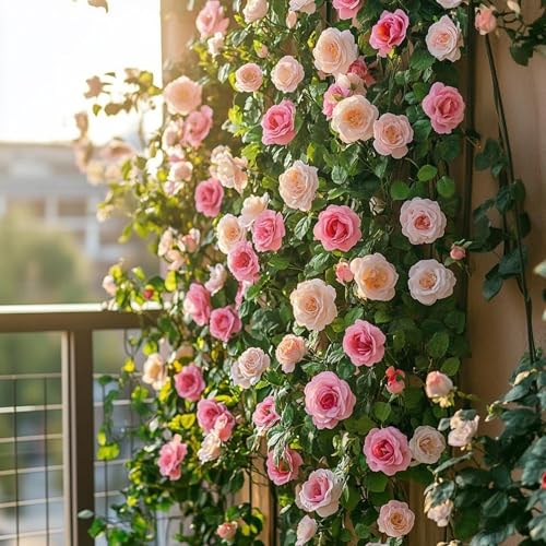 350+ Climbing Rose Seeds - Heirloom Non-GMO Climbing Flower Seeds for Captivating Garden Blooms - Perennial Shrub Flowers Perfect for Spring and Fall Planting Great Gardening Gift