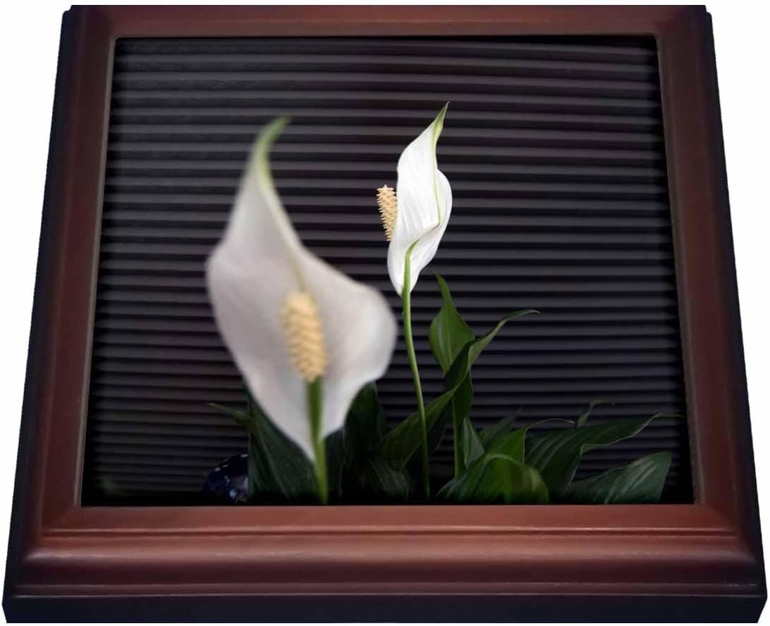 3dRose Trivet with Tile, 8 by 8-Inch, Brown