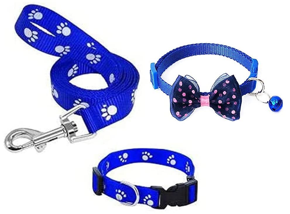 RvPaws Dog Collar and Leash Set Puppy Printed, Adjustable Nylon Collar with Leash for Small Dogs, 1 Pcs Free Bow Tie for Puppies, Dog & Cat (10 MM- X-Small) (Blue Color) (B0BNJBSNXN) Amazon Price History, Amazon Price Tracker