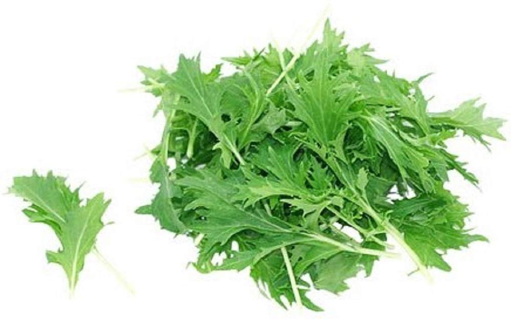 Mizuna Mustard Green Seeds - 100 Count Seed Pack - Non-GMO - A Leafy Green Vegetable with Thin Stems and a peppery, Slightly Bitter Flavor. - Country