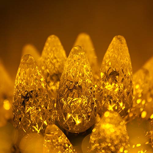 Wintergreen Lighting 70 C6 Gold LED Christmas Lights Indoor-Outdoor Christmas String Lights, 24 Ft, Gold Christmas Lights LED String Lights for Bedroom Dorm Lights Wintergreen Lighting 70 C6 Gold LED Christmas Lights Indoor-Outdoor Christmas String Lights, 24 Ft, Gold Christmas Lights LED String Lights for Bedroom Dorm Lights