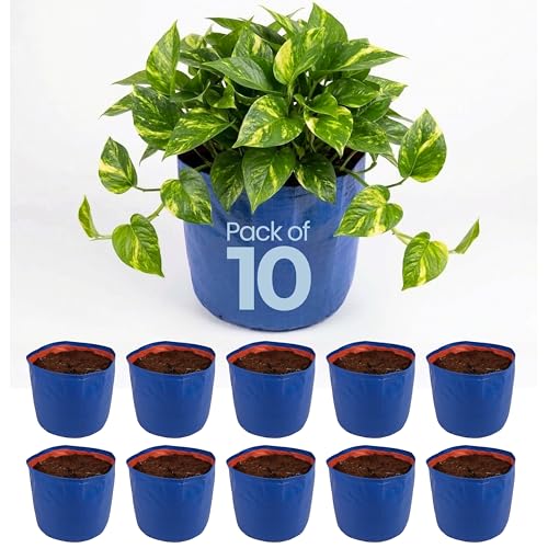 Image of Bio Blooms Round HDPE Plant Grow Bag for Terrace & Kitchen Gardening | Pack of 10 | 18x12 | 350 GSM Heavy Duty Outdoor Grow Bag | Durable Planter for Vegetables, Flowers & Plants | Blue