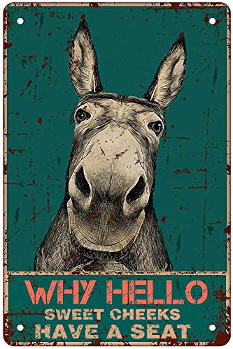 Letrero de metal con cita divertida para baño, decoración de pared, con texto en inglés 'Hello Sweet Cheeks', póster vintage para hogar, oficina, aula, baño, regalos, las mejores ideas de regalo para