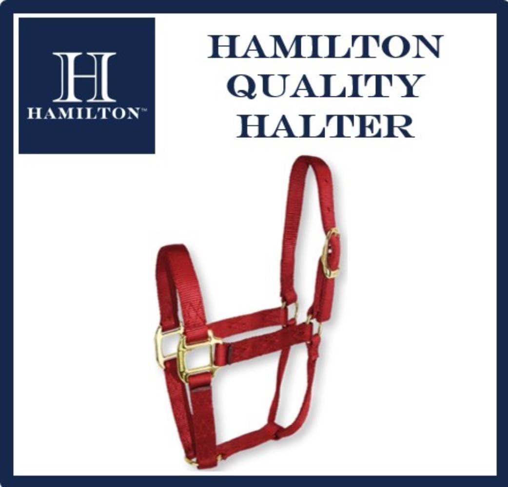 Licou Hamilton Pour Cheval - Taille Large (Large) - Rose Vif - Neuf Avec étiquettes