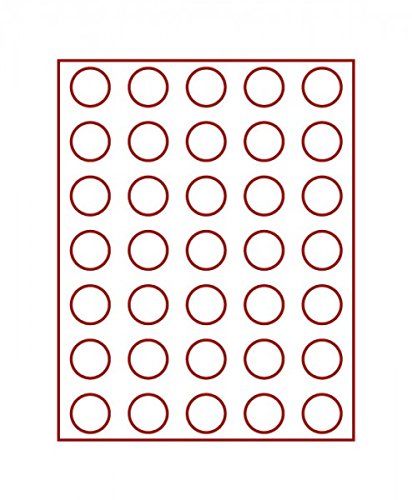 Bandeja para monedas con 35 hoyos de vidrio ahumado LINDNER 4
