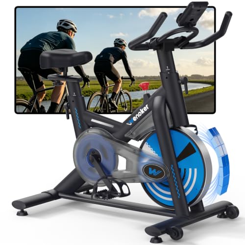 WENOKER Leiser Heimtrainer Fahrrad, Ergometer bis 160 kg Tiefseeblau