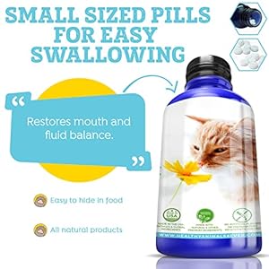   Bad-Breath-for-Cats-Pellets-Dissolvable-No-Brushing-for-Clean-Teeth-Plaque-Tartar-Control-All-Natural-Non-GMO-Organic-Preservative-Chemical-Free-300-ct