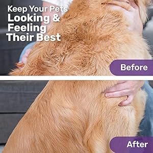 Hertzko pet dematting comb for dogs cats  undercoat rake grooming brush with safety edges  deshedding tool great for cutting and removing dead matted or knotted hair  shedding combs for pets   cucciolini doodles