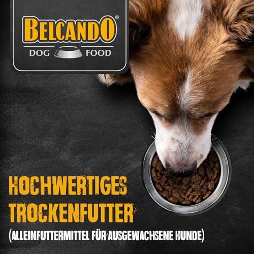BELCANDO MASTERCRAFT Hundefutter trocken Fresh Salmon, 10kg, Trockenfutter für Hunde mit Lachs, 80% Frischfleisch, getreidefrei, für alle Rassen, Made in Germany