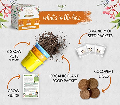 Bombay Greens 3 in 1 Temple Offerings Gardening Kit | Grow Your Own Flowers Kit - Tulsi Seeds, Marigold Seeds & Butterfly Pea Flower Plant Seeds | DIY Kit of Flower Seeds for Home Garden | Combo Seeds