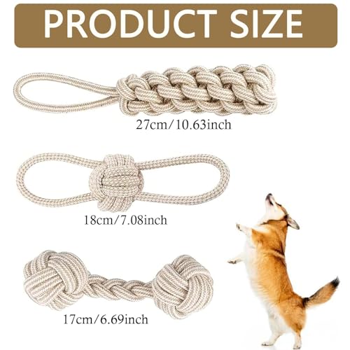Bull Tiger Prestige 3 Stück Hundespielzeug Seil, Zerrspielzeug für Hunde aus Natürlicher Baumwolle, Interaktive Kauen Spielzeug mit Knoten Ball, Hundeseil Spielzeug für Mittelgroße Hunde kleine