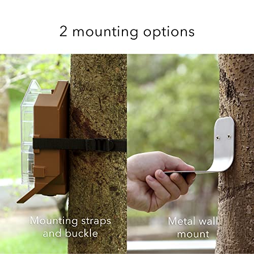 Mangeoire pour oiseaux avec support caméra connectée extérieure connecté - 6