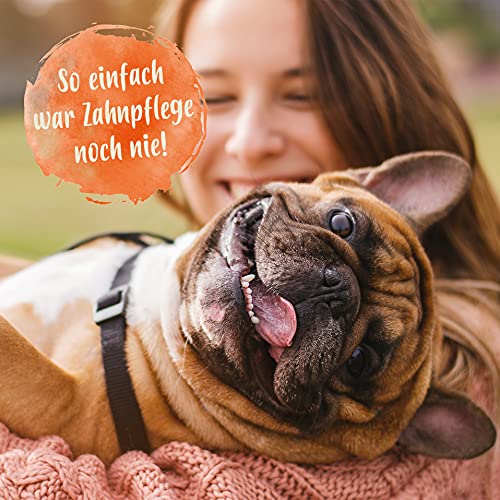 Ida Plus Denta Dog - kinderleichte Hunde Zahnpflege ohne Zähne bürsten - Hunde-Dental-Pflege stoppt Hunde Mundgeruch & sorgt für frischem Hunde-Atem - verhindert Hunde Zahnstein & Plaque - 150g