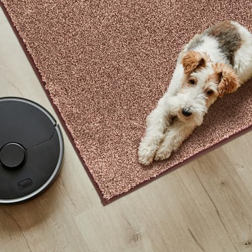 PURRUGS Easy Care Area Rug 4ft x 6ft, Non-Slip Machine Washable Entryway Rug, Dog Door Mat, Stain Resistant Accent Rug for Hallway, Living Room, Bedroom and Mudroom, Brown-Light Cream