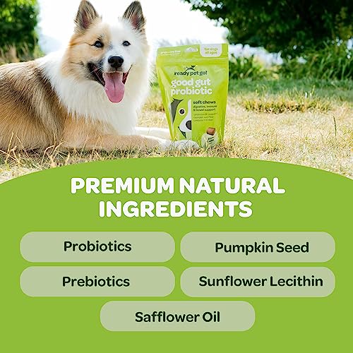Probiotic Chews for Dogs Gut Health | Tasty Pro and Prebiotics for Dogs Digestive Health Immunity Itchy Skin & Seasonal Allergy Support with Pumpkin Dog Probiotics and Digestive Enzymes | 90 Chews Probiotic Chews for Dogs Gut Health | Tasty Pro and Prebiotics for Dogs Digestive Health Immunity Itchy Skin & Seasonal Allergy Support with Pumpkin Dog Probiotics and Digestive Enzymes | 90 Chews