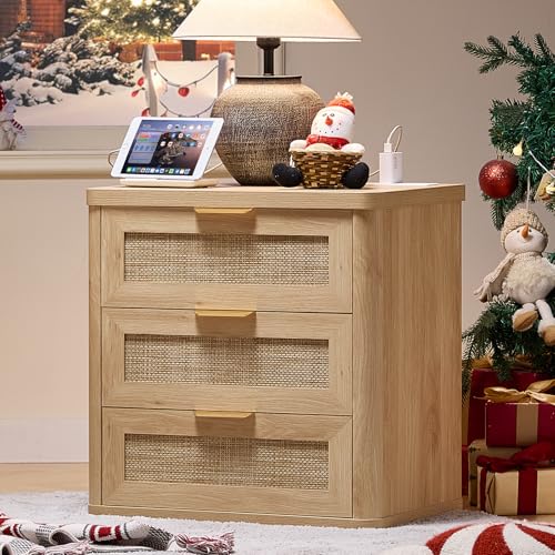 LEYAOYAO Rattan Night Stand with Charger…